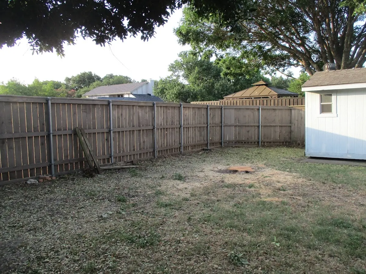 Cleared yard after professional tree removal in Clifford
